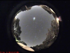 orionids_00009