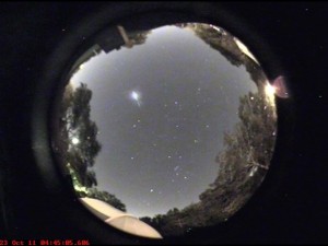 orionids_00030